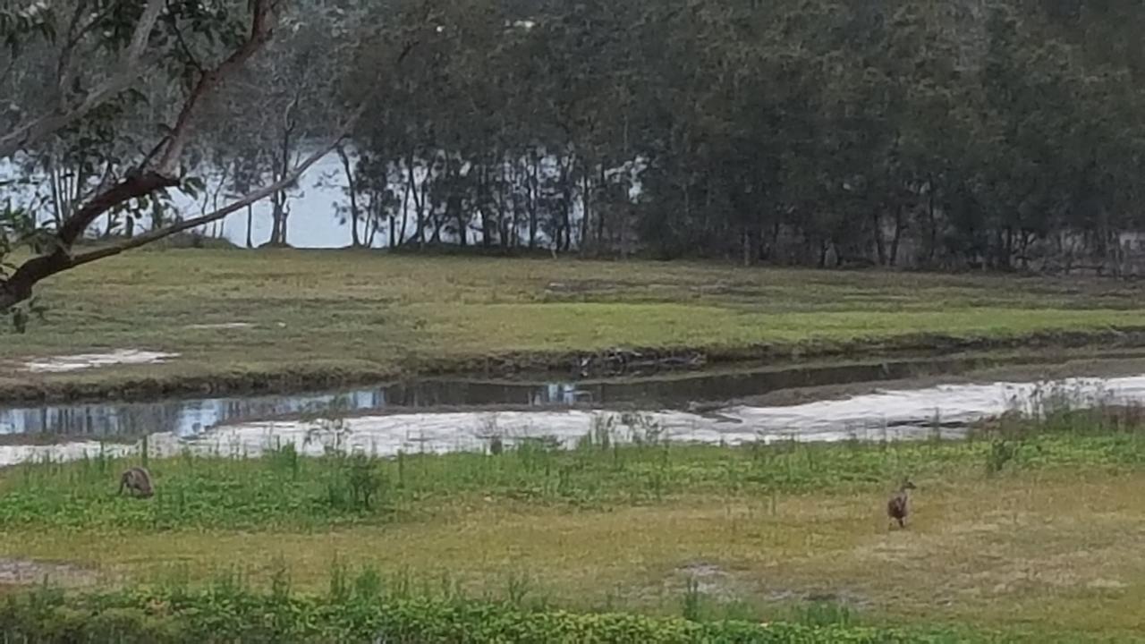 塔波里湖汽车旅馆 Tabourie Lake 外观 照片