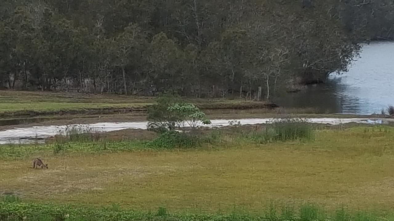 塔波里湖汽车旅馆 Tabourie Lake 外观 照片